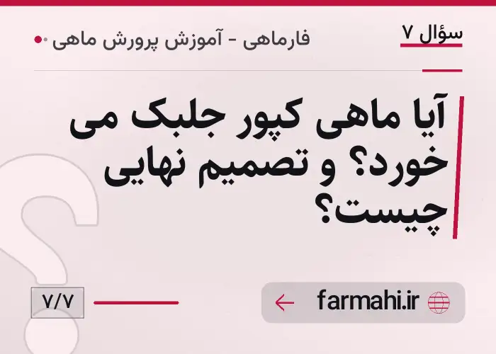 آیا ماهی کپور جلبک می خورد؟ و تصمیم نهایی چیست؟