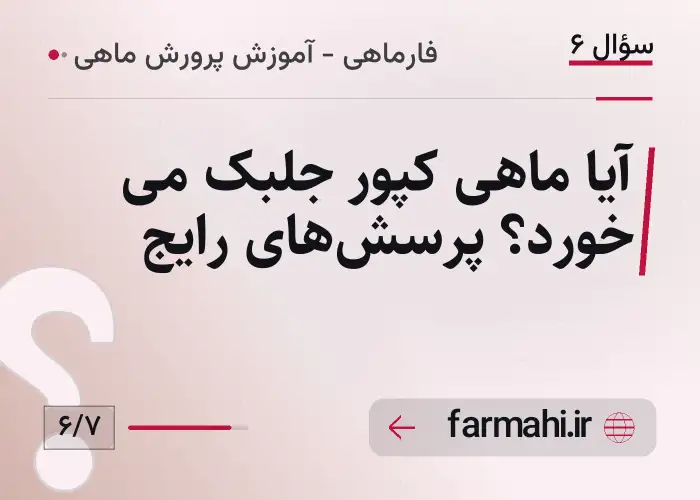آیا ماهی کپور جلبک می خورد؟ پرسش‌های رایج