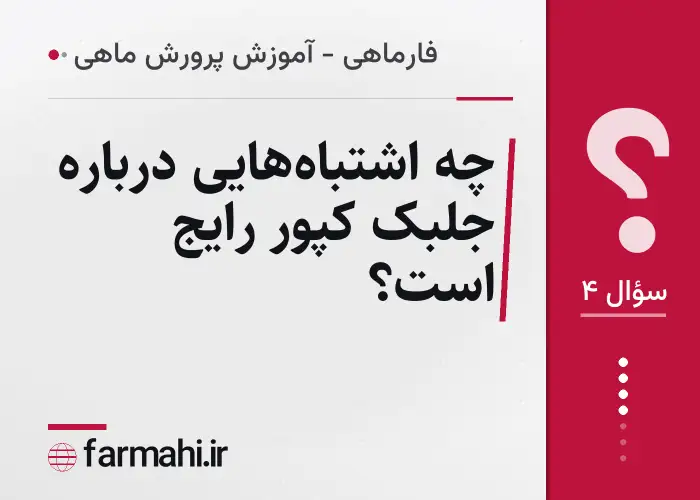 چه اشتباه‌هایی درباره جلبک کپور رایج است؟