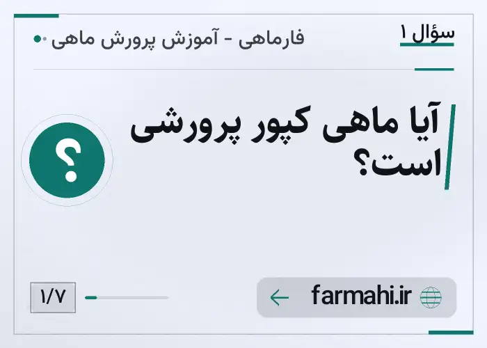 آیا ماهی کپور پرورشی است؟