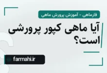 آیا ماهی کپور پرورشی است؟