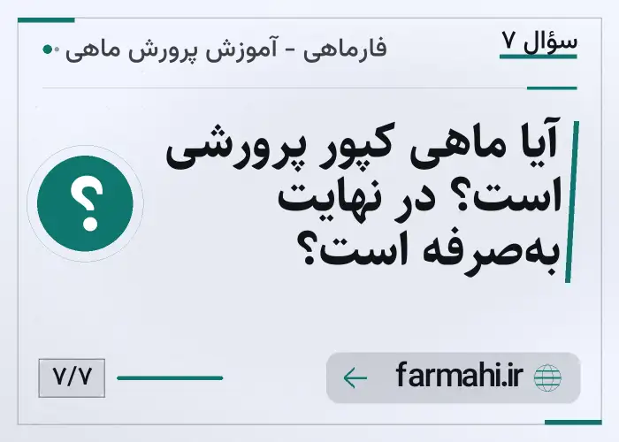 آیا ماهی کپور پرورشی است؟ در نهایت به‌صرفه است؟
