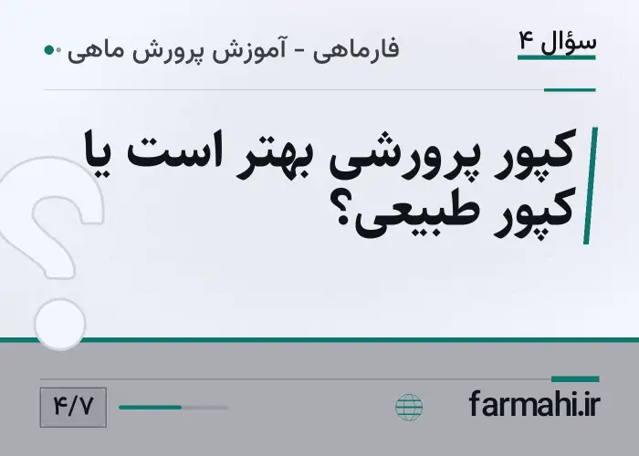 کپور پرورشی بهتر است یا کپور طبیعی؟