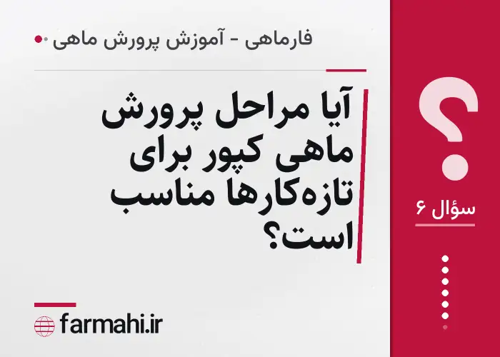 آیا مراحل پرورش ماهی کپور برای تازه‌کارها مناسب است؟