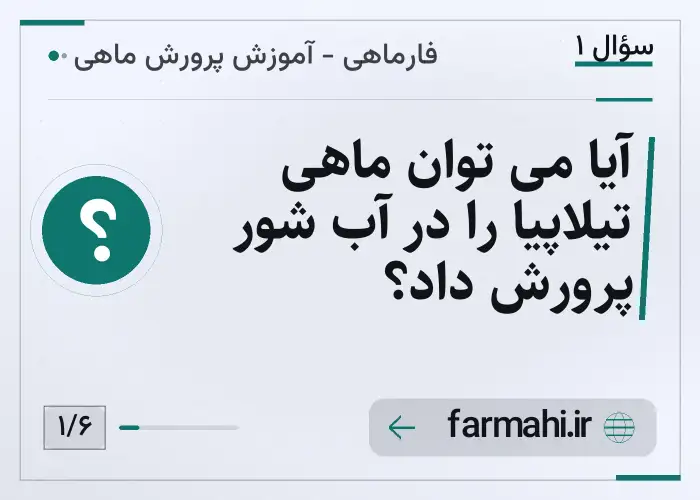 آیا می توان ماهی تیلاپیا را در آب شور پرورش داد؟