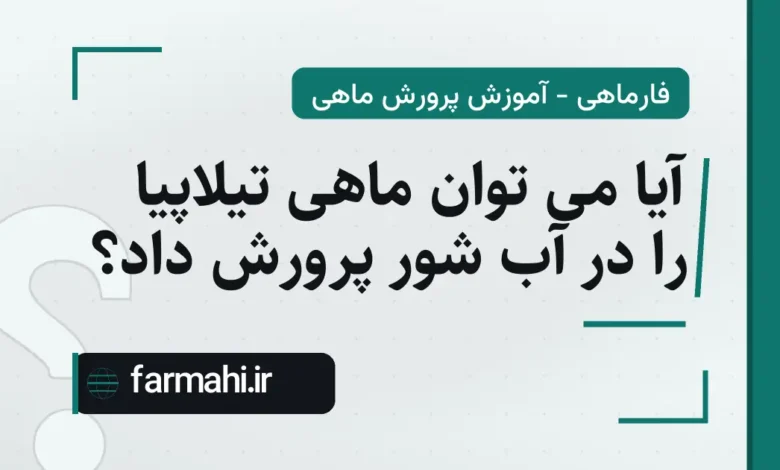 آیا می توان ماهی تیلاپیا را در آب شور پرورش داد؟