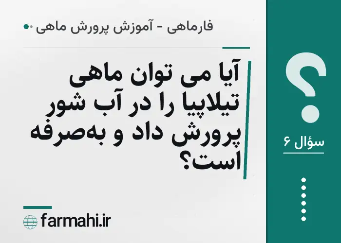 آیا می توان ماهی تیلاپیا را در آب شور پرورش داد و بهصرفه است؟
