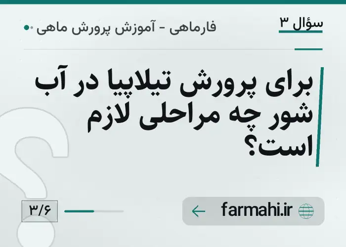 برای پرورش تیلاپیا در آب شور چه مراحلی لازم است؟