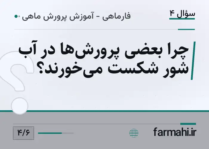 چرا بعضی پرورش‌ها در آب شور شکست می‌خورند؟