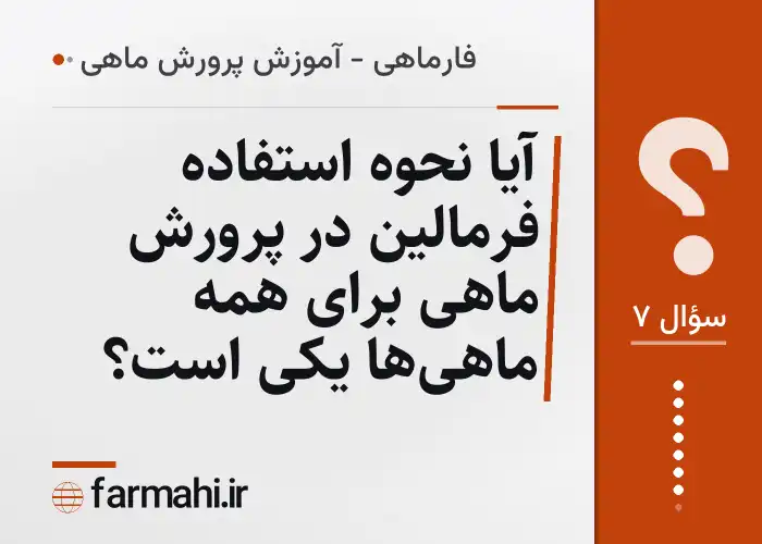 آیا نحوه استفاده فرمالین در پرورش ماهی برای همه ماهی‌ها یکی است؟