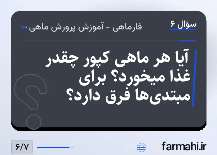آیا هر ماهی کپور چقدر غذا میخورد؟ برای مبتدی‌ها فرق دارد؟