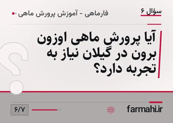 آیا پرورش ماهی اوزون برون در گیلان نیاز به تجربه دارد؟