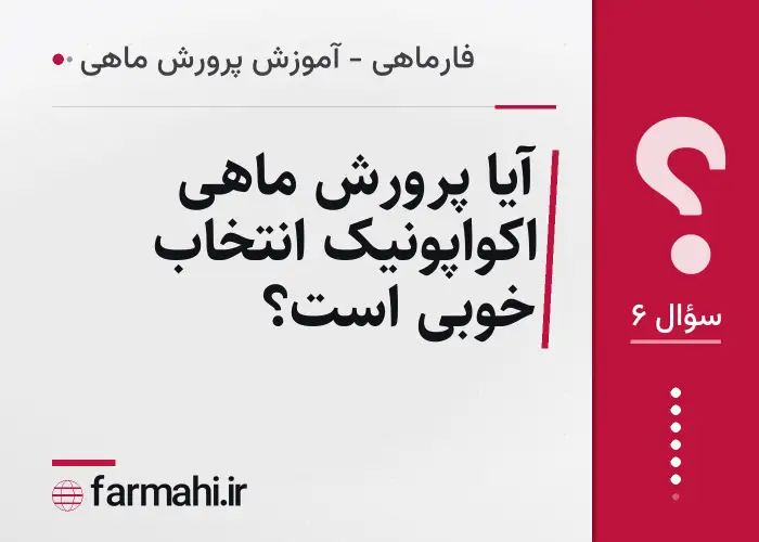 آیا پرورش ماهی اکواپونیک انتخاب خوبی است؟