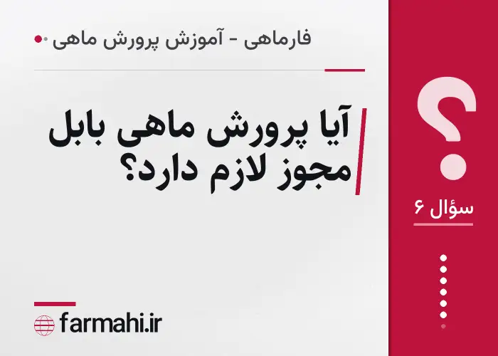 آیا پرورش ماهی بابل مجوز لازم دارد؟