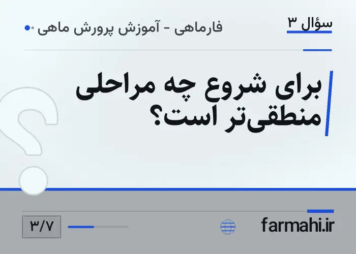 برای شروع چه مراحلی منطقی‌تر است؟