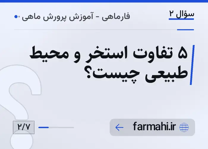 ۵ تفاوت استخر و محیط طبیعی چیست؟
