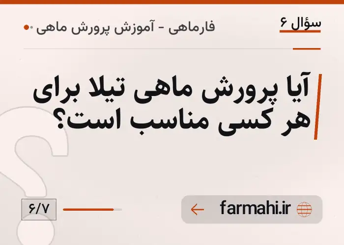 آیا پرورش ماهی تیلا برای هر کسی مناسب است؟