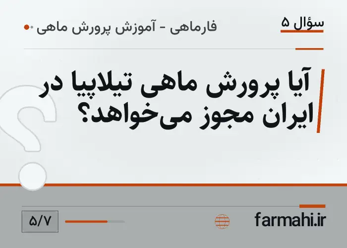 آیا پرورش ماهی تیلاپیا در ایران مجوز می‌خواهد؟