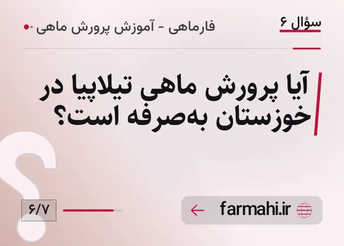 آیا پرورش ماهی تیلاپیا در خوزستان به‌صرفه است؟