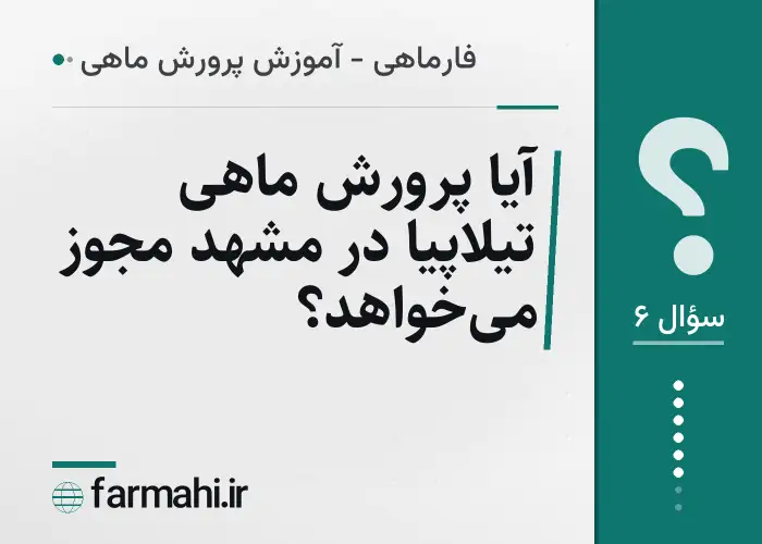 آیا پرورش ماهی تیلاپیا در مشهد مجوز می‌خواهد؟