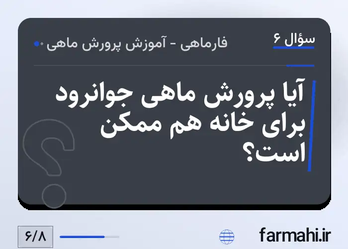 آیا پرورش ماهی جوانرود برای خانه هم ممکن است؟