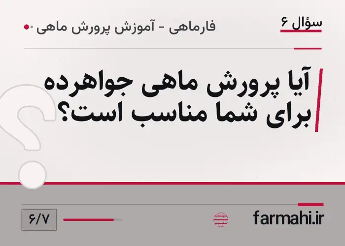 آیا پرورش ماهی جواهرده برای شما مناسب است؟