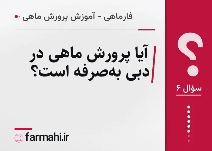 آیا پرورش ماهی در دبی به‌صرفه است؟