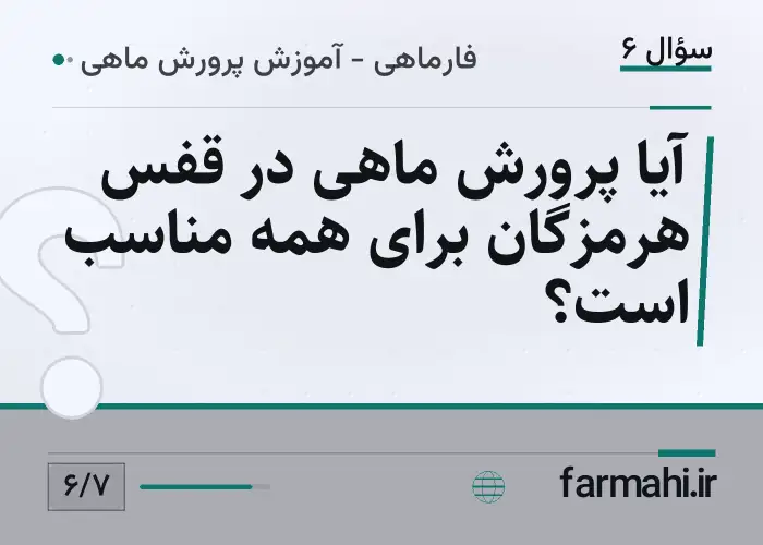 آیا پرورش ماهی در قفس هرمزگان برای همه مناسب است؟