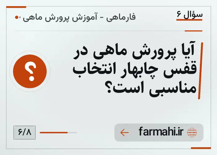 آیا پرورش ماهی در قفس چابهار انتخاب مناسبی است؟