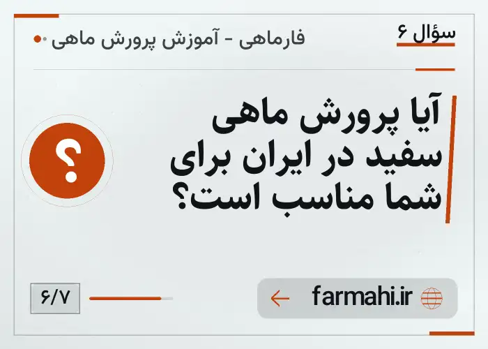 آیا پرورش ماهی سفید در ایران برای شما مناسب است؟