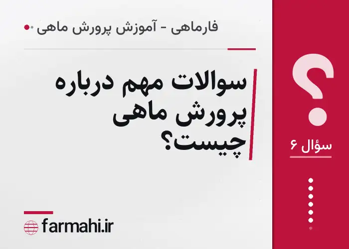 سوالات مهم درباره پرورش ماهی چیست؟