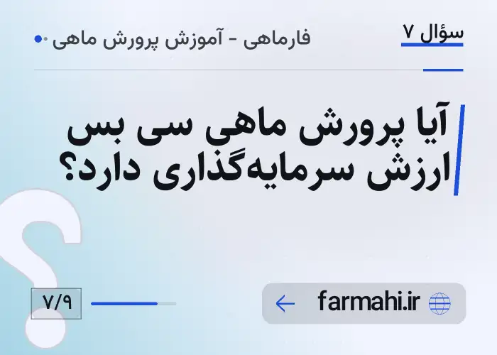 آیا پرورش ماهی سی بس ارزش سرمایه‌گذاری دارد؟