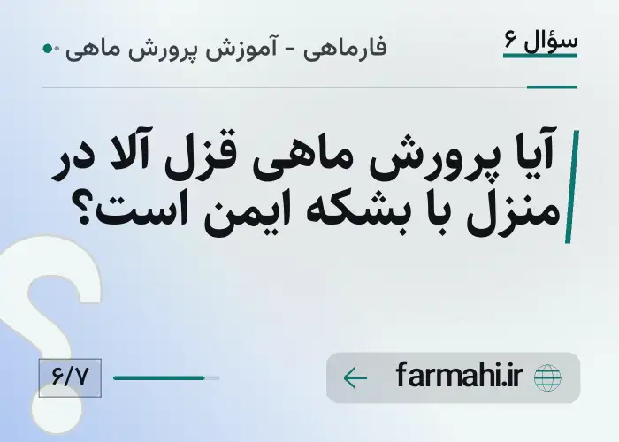آیا پرورش ماهی قزل آلا در منزل با بشکه ایمن است؟