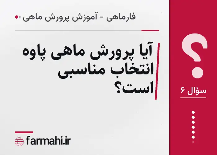 آیا پرورش ماهی پاوه انتخاب مناسبی است؟