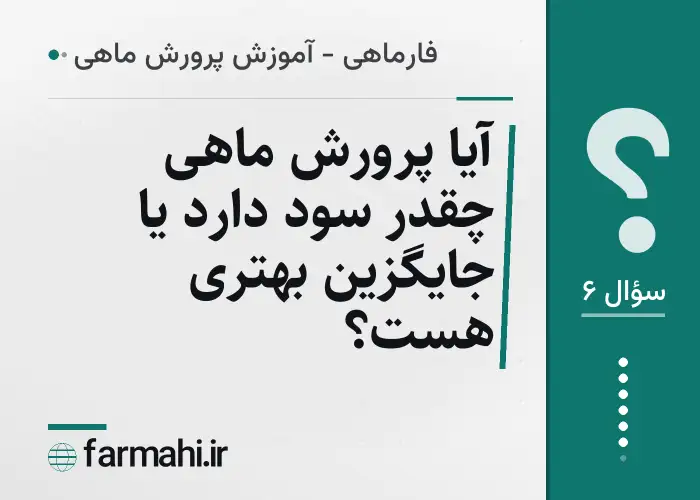 آیا پرورش ماهی چقدر سود دارد یا جایگزین بهتری هست؟