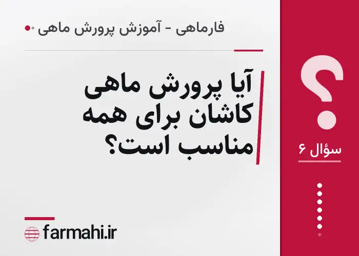 آیا پرورش ماهی کاشان برای همه مناسب است؟
