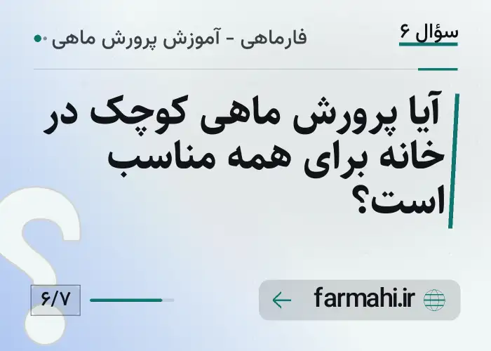 آیا پرورش ماهی کوچک در خانه برای همه مناسب است؟