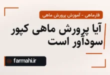 آیا پرورش ماهی کپور سودآور است
