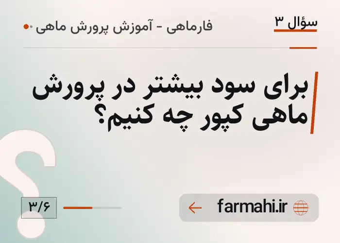 برای سود بیشتر در پرورش ماهی کپور چه کنیم؟