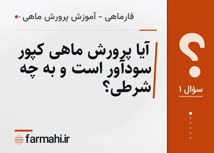 آیا پرورش ماهی کپور سودآور است و به چه شرطی؟