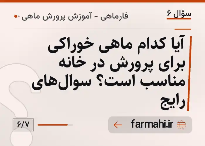 آیا کدام ماهی خوراکی برای پرورش در خانه مناسب است؟ سوال‌های رایج