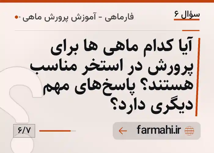 آیا کدام ماهی ها برای پرورش در استخر مناسب هستند؟ پاسخ‌های مهم دیگری دارد؟