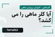 آیا کلر ماهی را می کشد؟