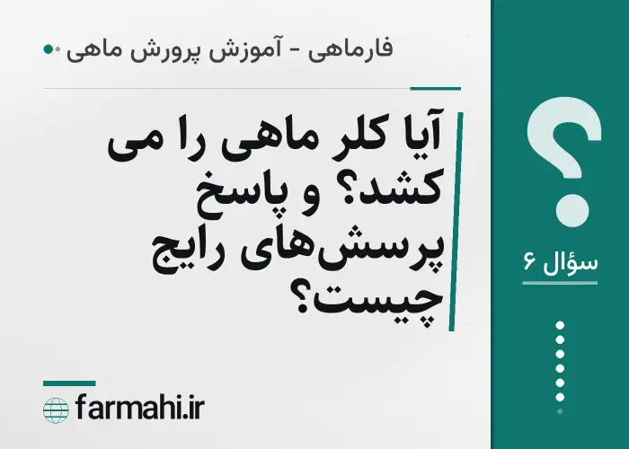آیا کلر ماهی را می کشد؟ و پاسخ پرسش‌های رایج چیست؟
