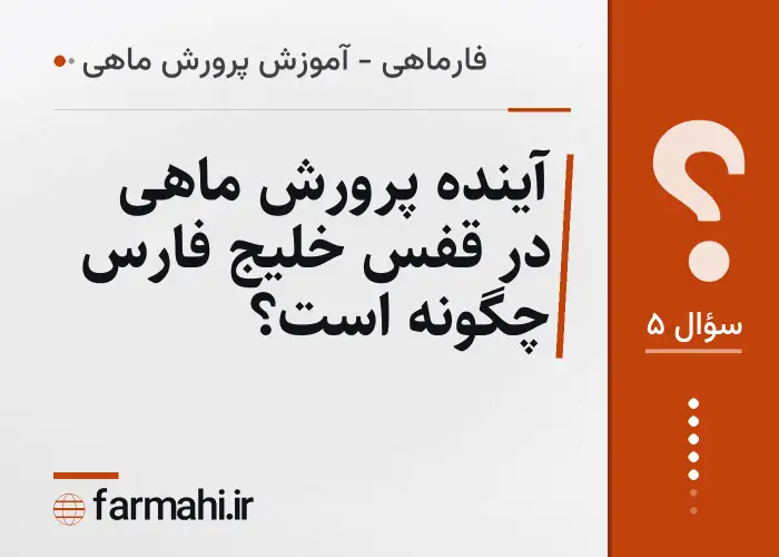 آینده پرورش ماهی در قفس خلیج فارس چگونه است؟