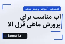 اب مناسب برای پرورش ماهی قزل الا