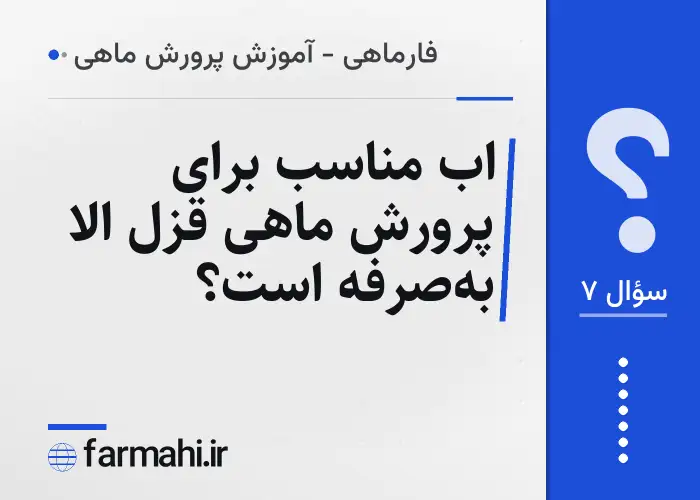 اب مناسب برای پرورش ماهی قزل الا به‌صرفه است؟