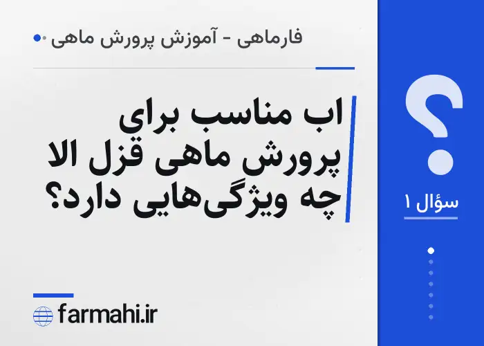 اب مناسب برای پرورش ماهی قزل الا چه ویژگی‌هایی دارد؟