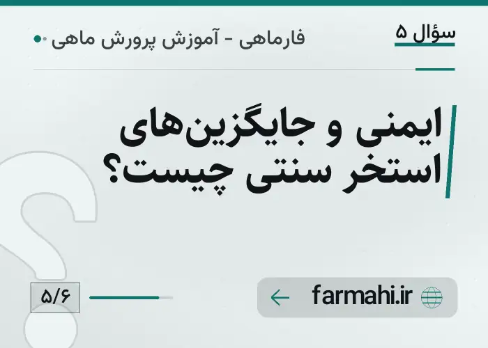 ایمنی و جایگزین‌های استخر سنتی چیست؟