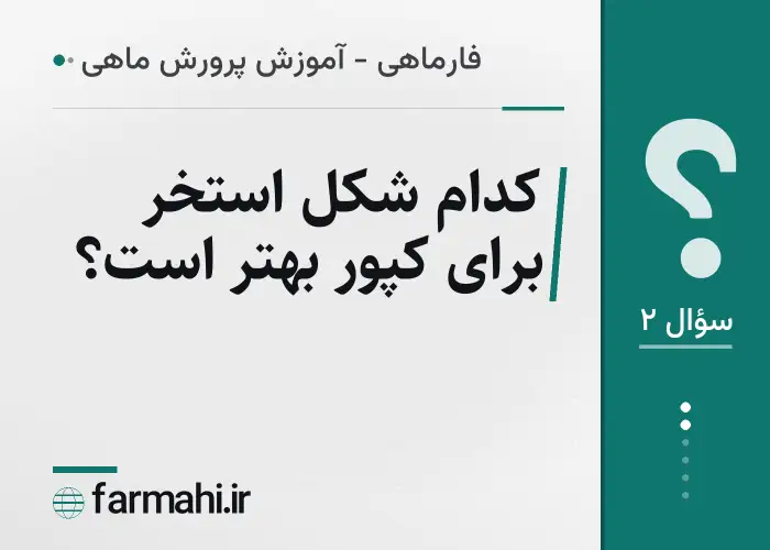 کدام شکل استخر برای کپور بهتر است؟